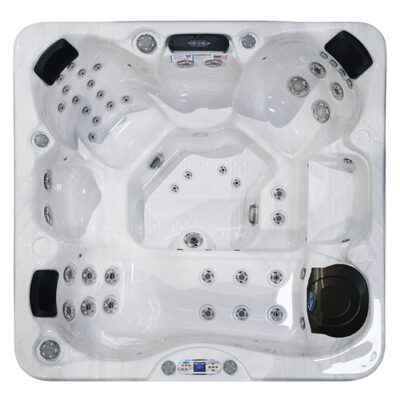 Cal Spas Avalon EC-849L Hot Tub