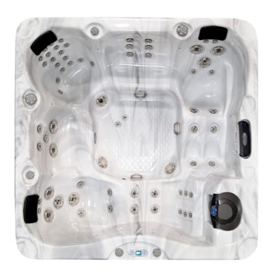 Cal Spas Malibu EC-867DL Hot Tub