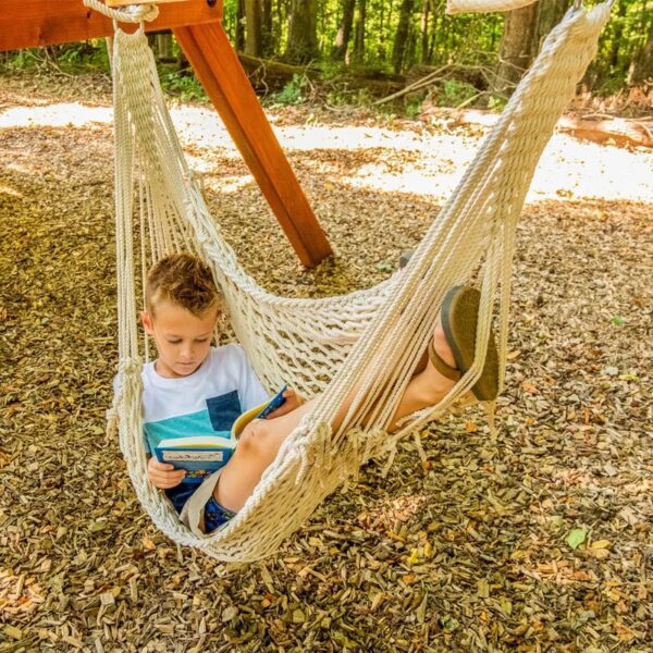 playset hammock swing